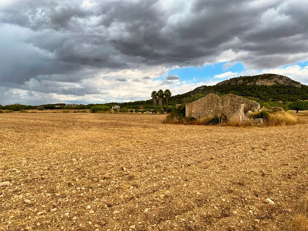 Plot close to Sineu with mountain view-1