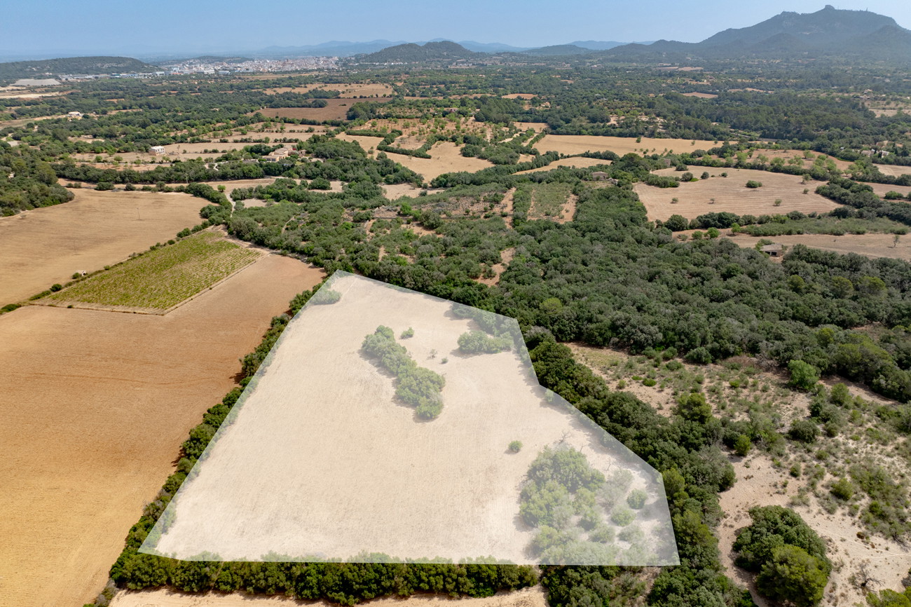 Nuevo proyecto de construcción cerca de Cas Concos