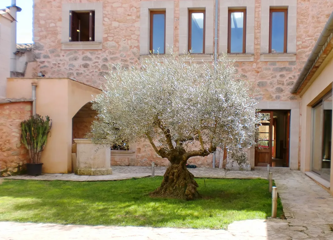 Maison de village historique avec jardin à Algaida-1