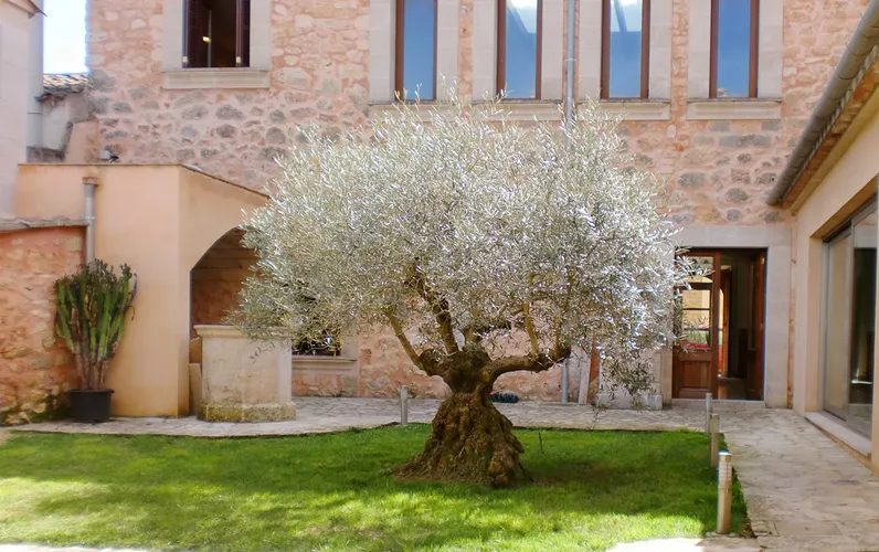 Historiskt byhus med trädgård i Algaida