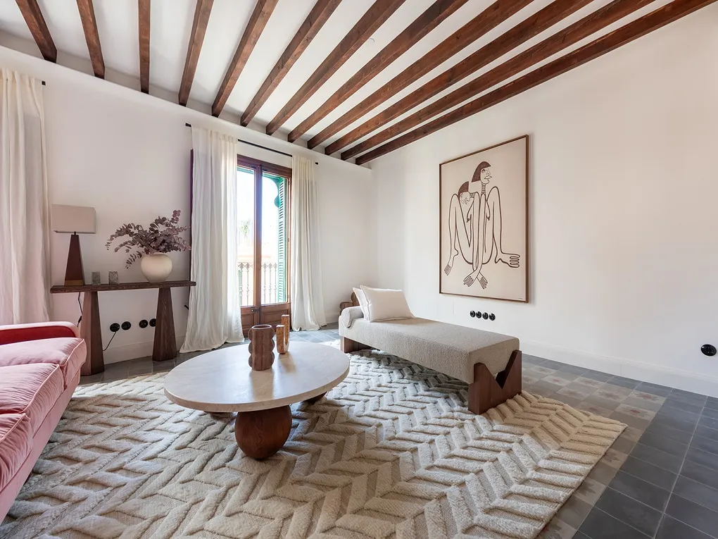 Luxury duplex penthouse with terrace & elevator-4