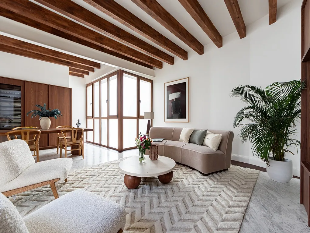 Luxury duplex penthouse with terrace & elevator-8