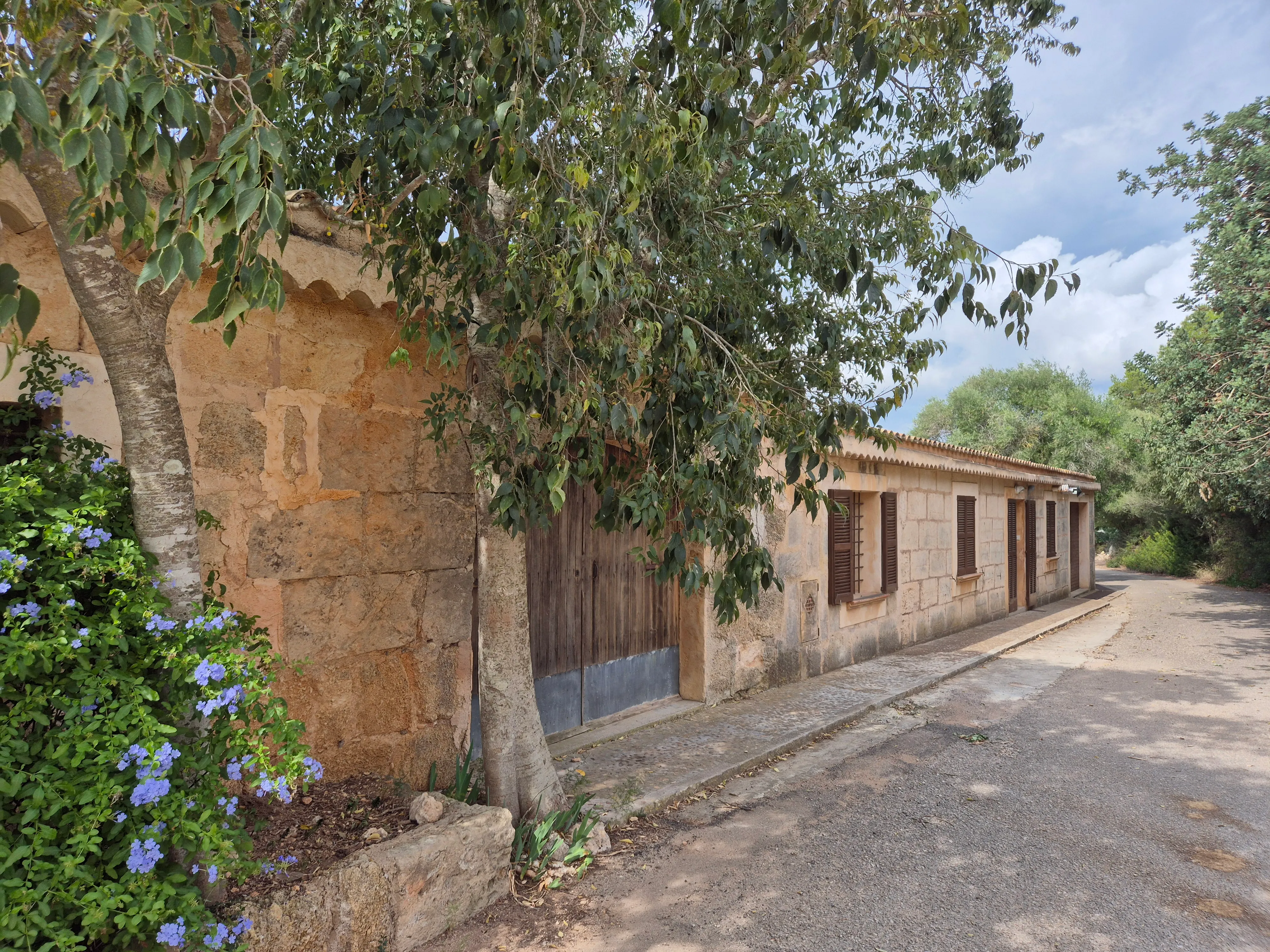 Charmerende finca i ét plan med idyllisk have-14