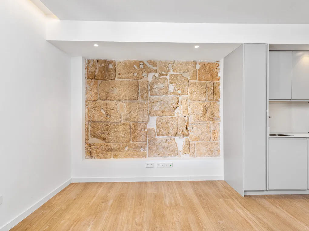 Modern renovated apartment with elevator in Sindicato-2