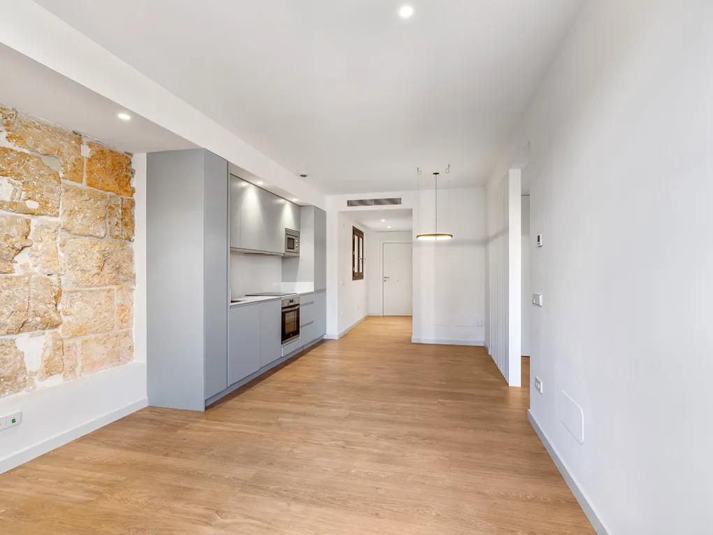 Modern renovated apartment with elevator in Sindicato-4