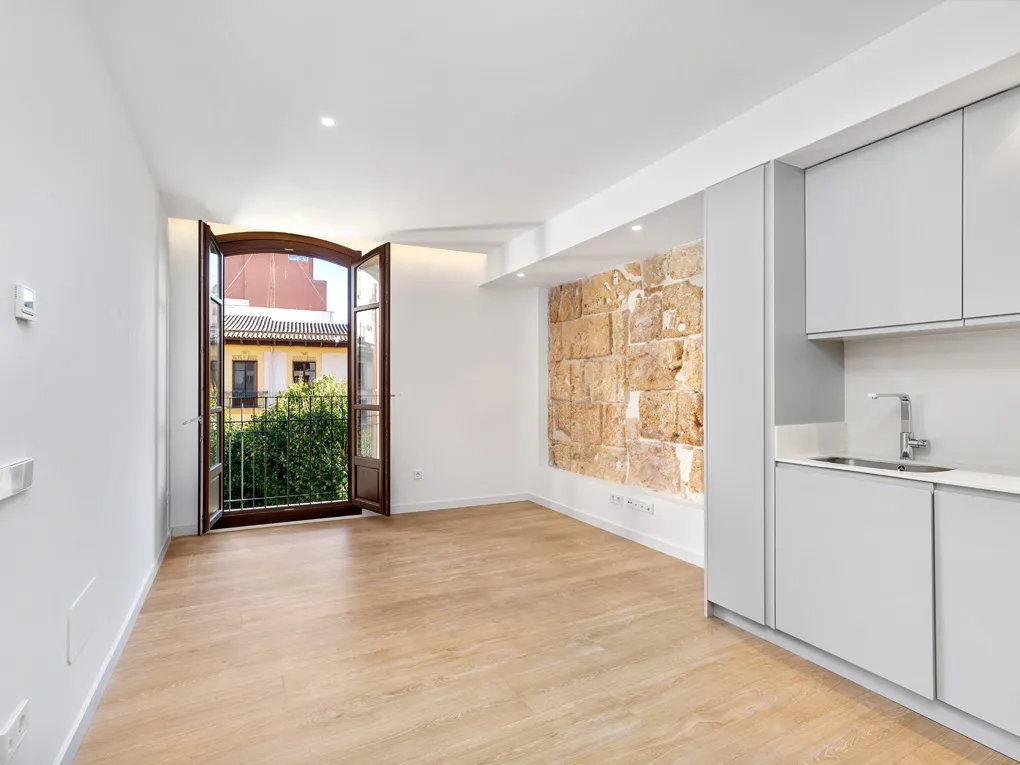 Modern renovated apartment with elevator in Sindicato-1