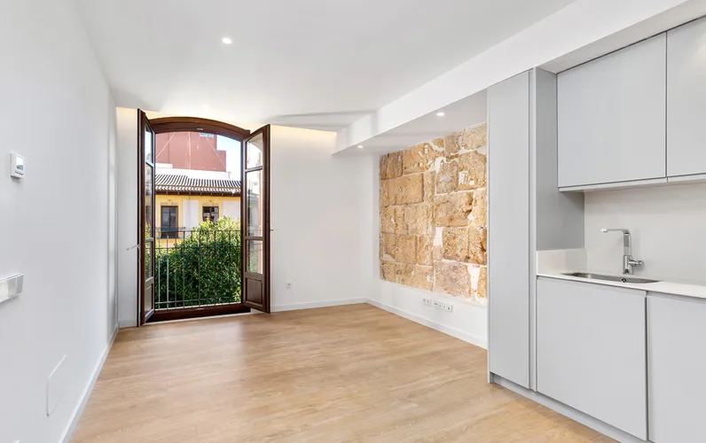 Modern renovated apartment with elevator in Sindicato