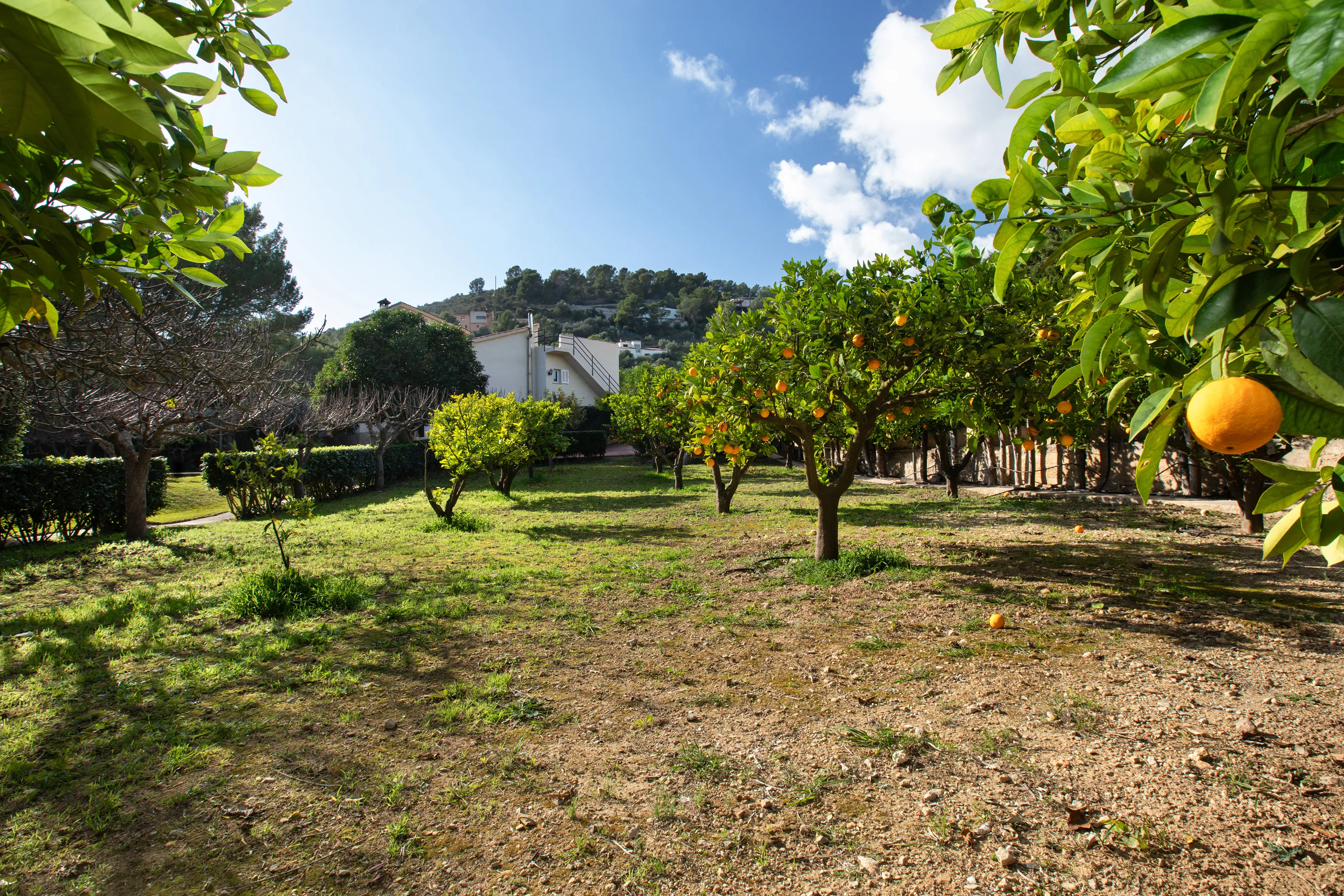 Charmante maison de campagne à Esporlas-18