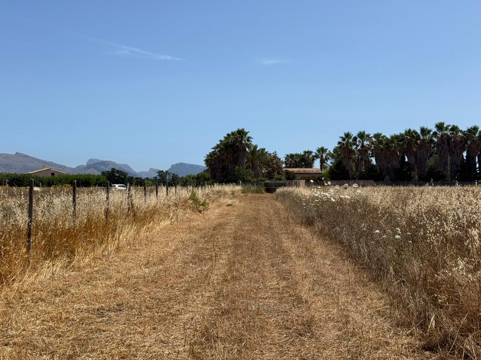 Propriété rurale avec projet de villa méditerranéenne élégante dans un emplacement privilégié-5