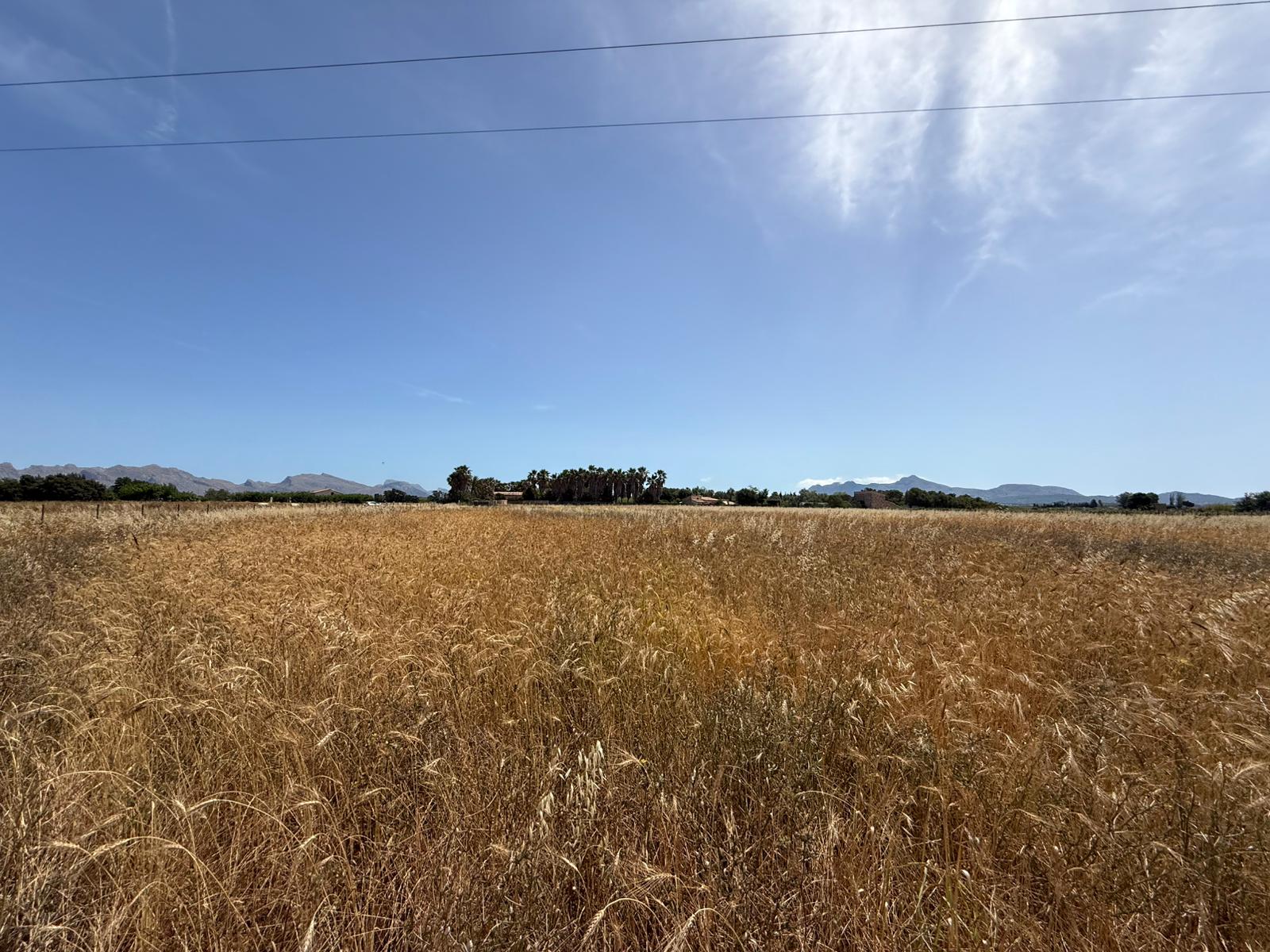 Propriété rurale avec projet de villa méditerranéenne élégante dans un emplacement privilégié-4
