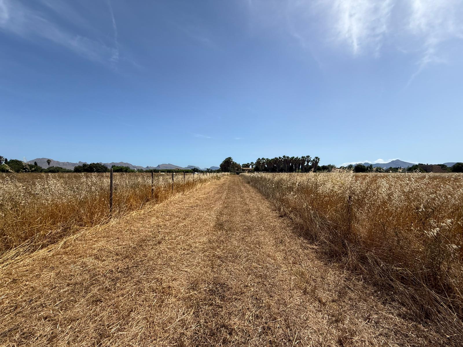 Propriété rurale avec projet de villa méditerranéenne élégante dans un emplacement privilégié-3