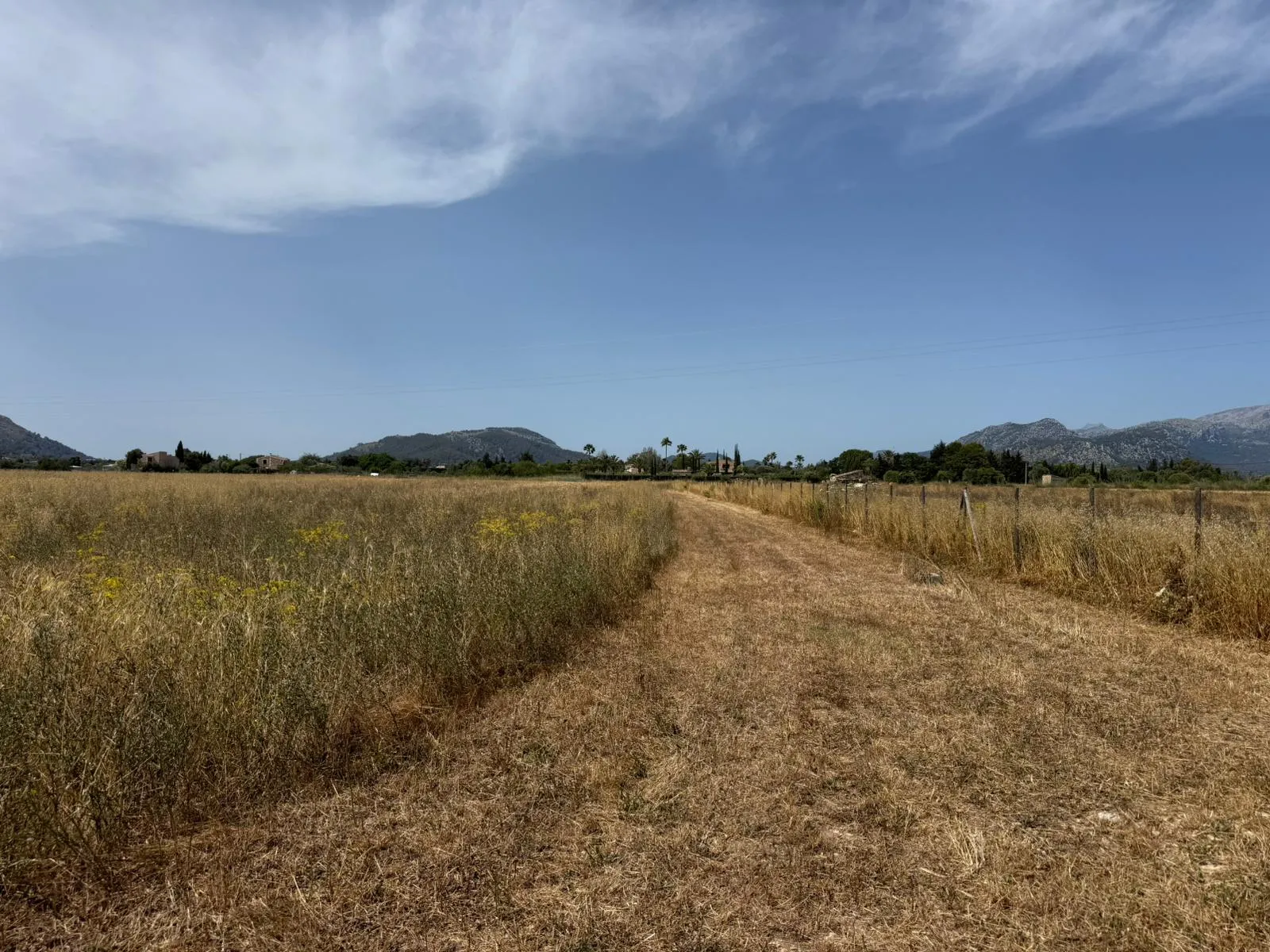Finca rústica con proyecto de elegante villa mediterránea en ubicación privilegiada-6