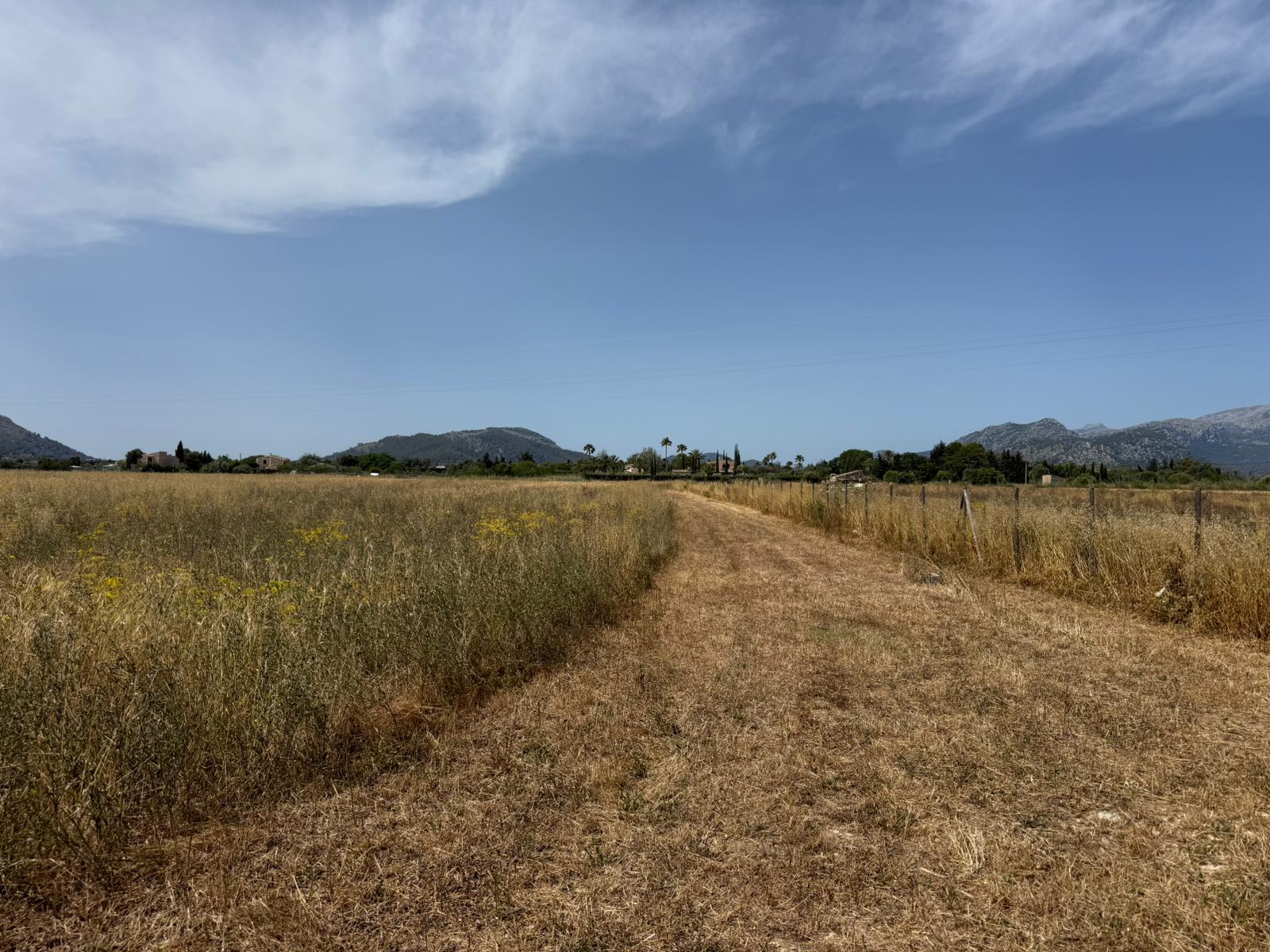 Propriété rurale avec projet de villa méditerranéenne élégante dans un emplacement privilégié-6