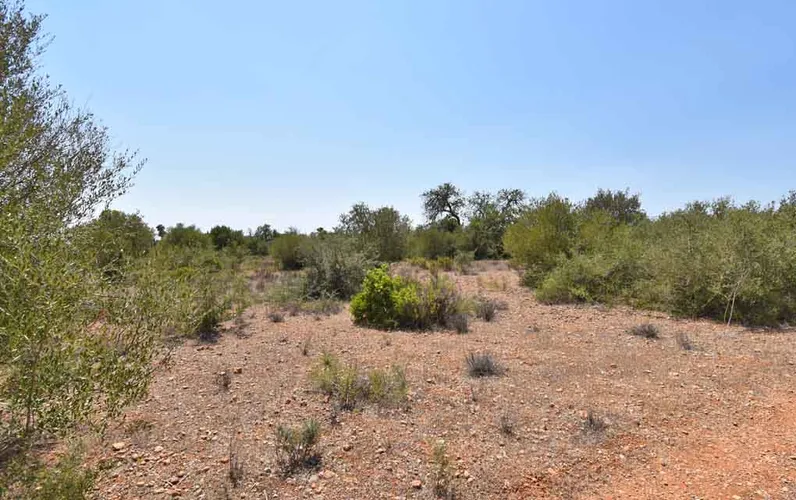 Solar edificable amb llicència a prop del poble de Llucmajor
