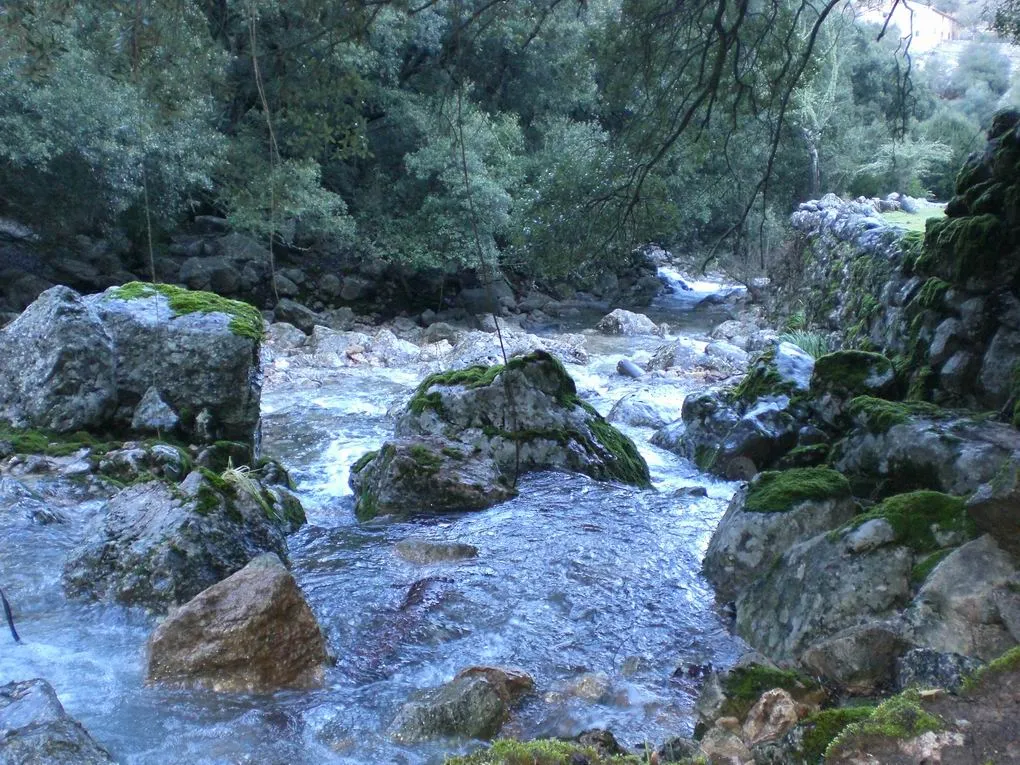 Piękna finca otoczona zieloną przyrodą-10