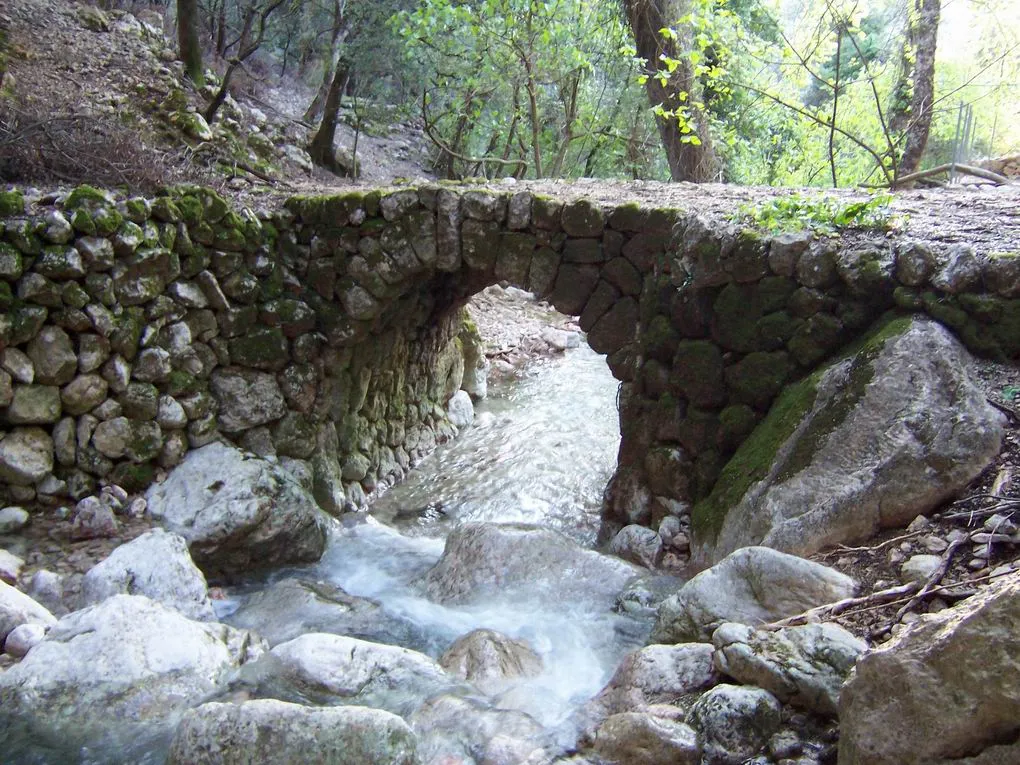 Piękna finca otoczona zieloną przyrodą-11