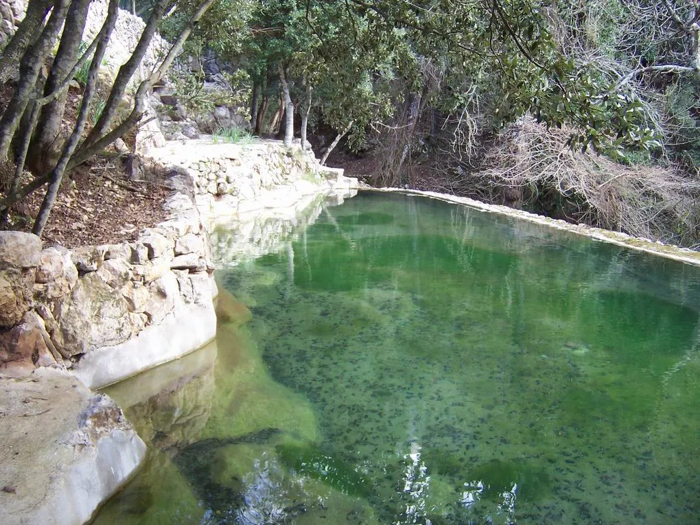 Piękna finca otoczona zieloną przyrodą-9