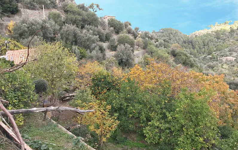 Interesante terreno con potencial y vistas