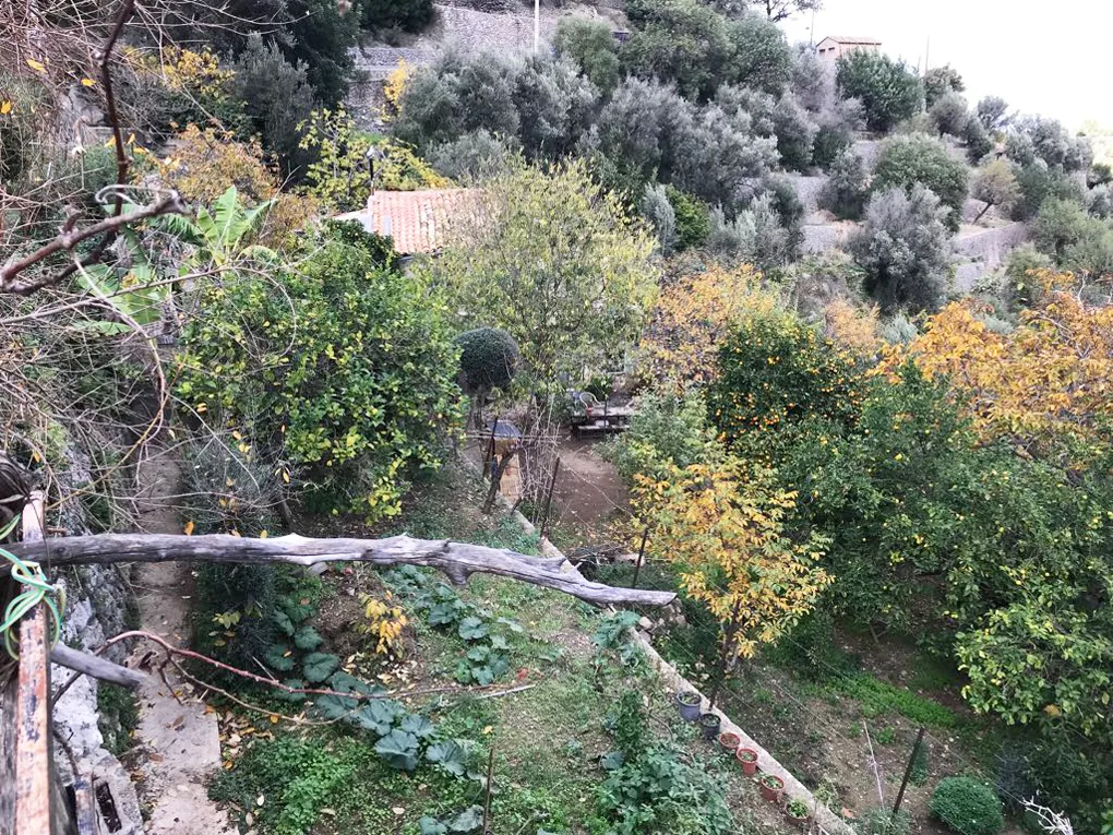 Urban plot with lots of potential and views-2