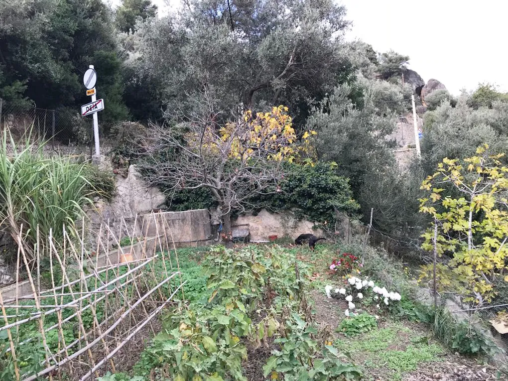 Urban plot with lots of potential and views-9