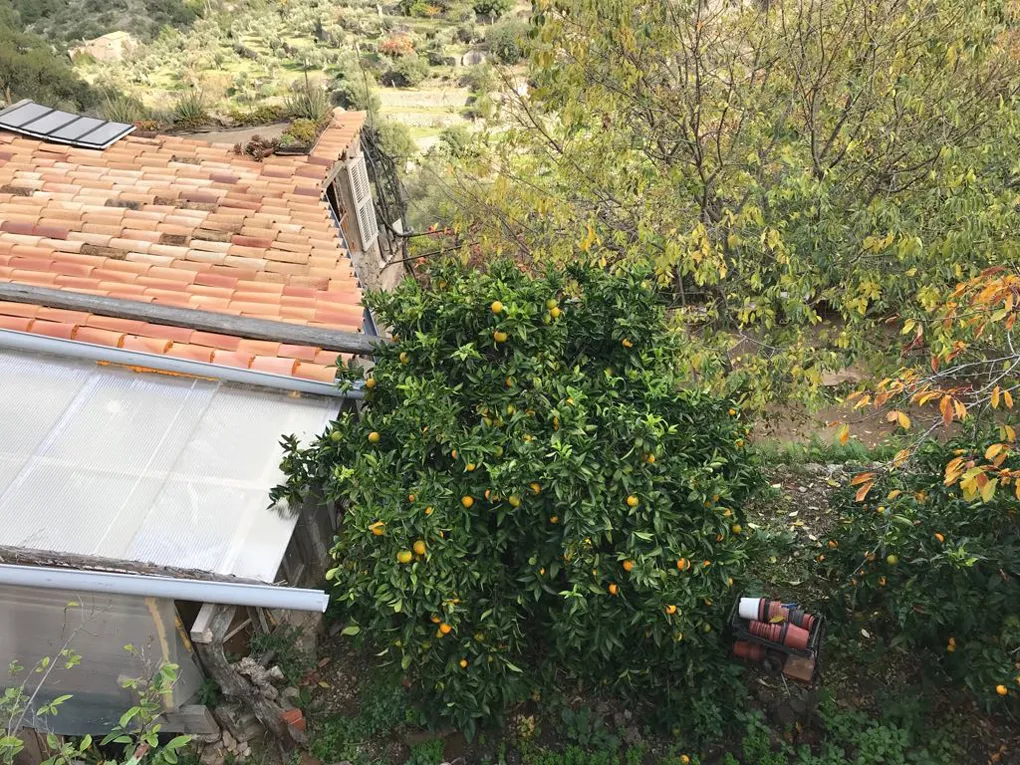 Urban plot with lots of potential and views-8