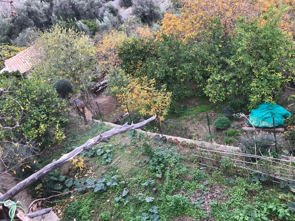 Urban plot with lots of potential and views-3