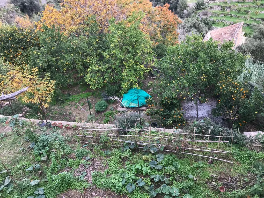 Urban plot with lots of potential and views-4