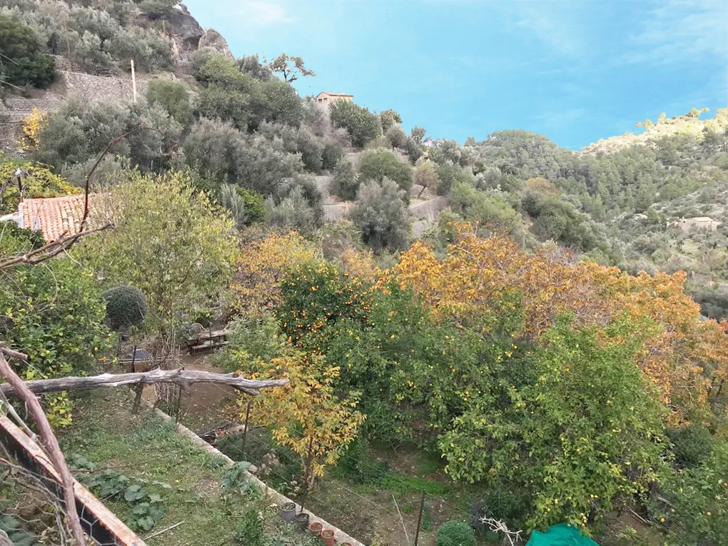 Urban plot with lots of potential and views-1