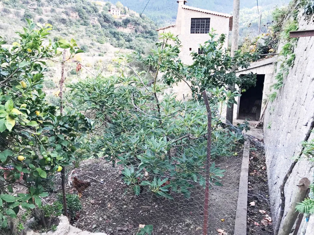 Urban plot with lots of potential and views-6