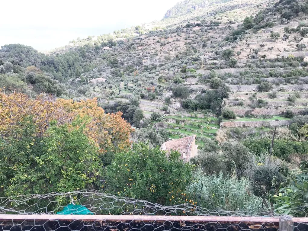 Urban plot with lots of potential and views-5