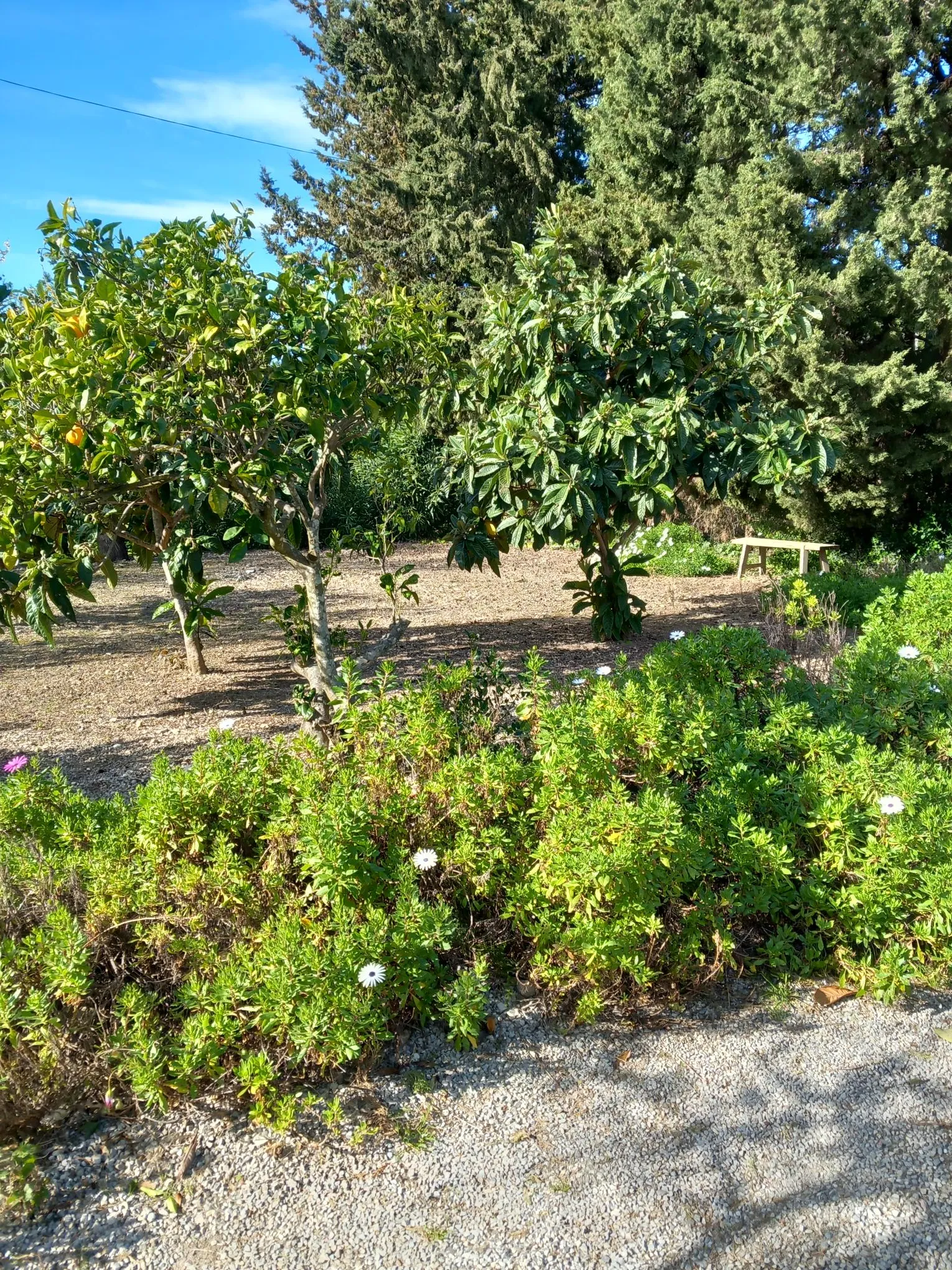 Hermosa finca cerca de Pollensa-23