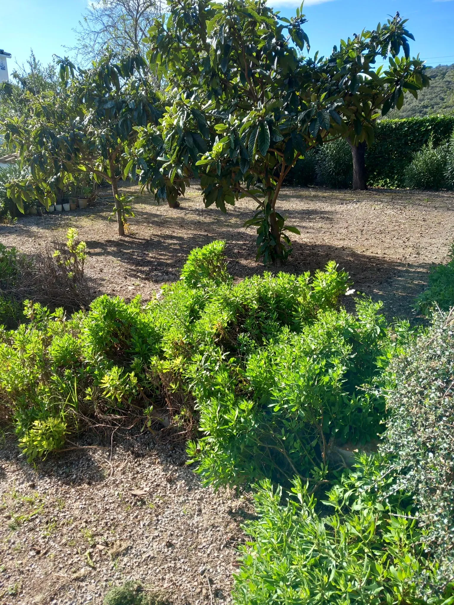 Hermosa finca cerca de Pollensa-24