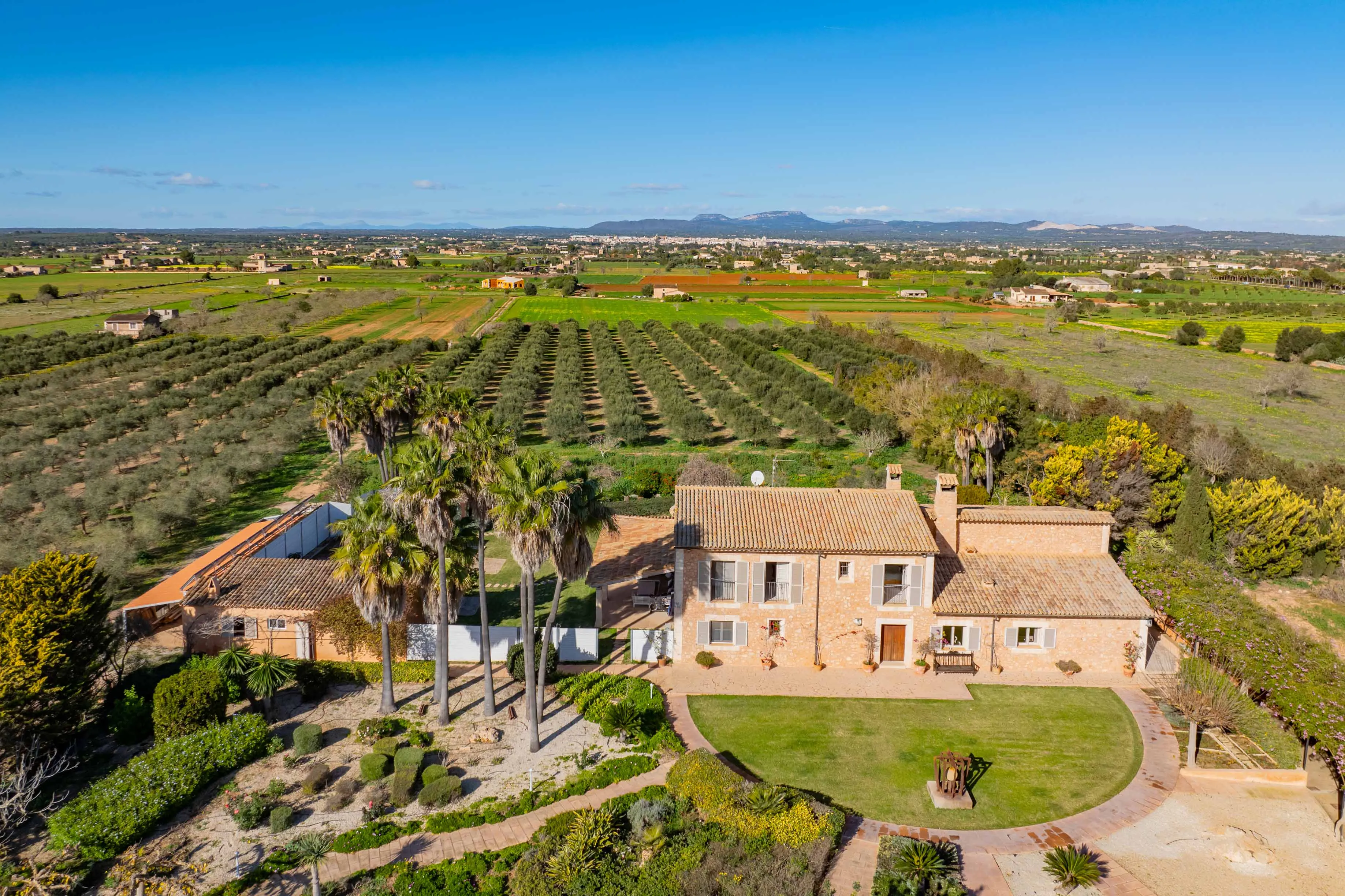 Finca entre Santanyi et Campos avec licence de location et sa propre oliveraie-16