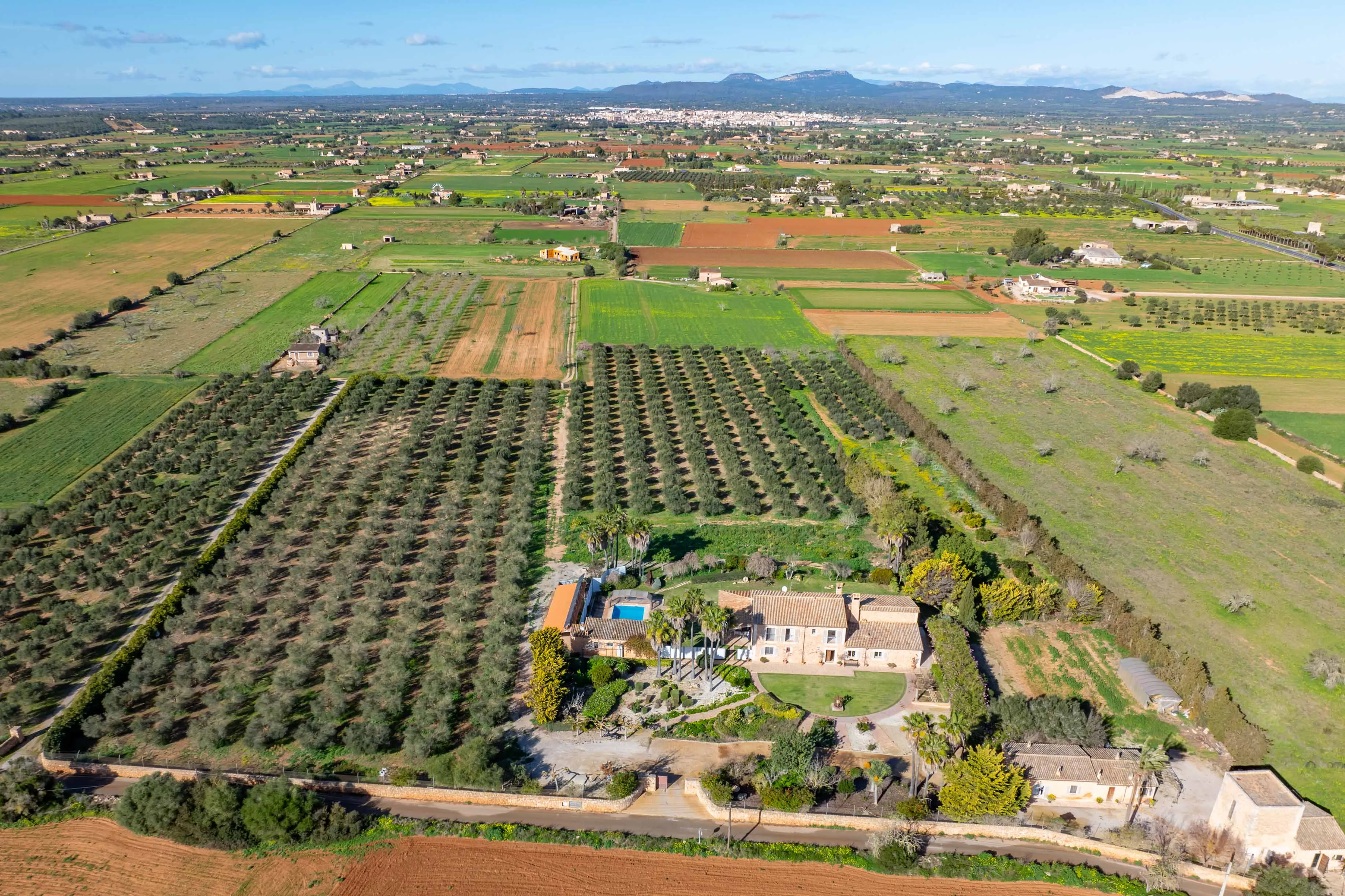 Finca entre Santanyi et Campos avec licence de location et sa propre oliveraie-17