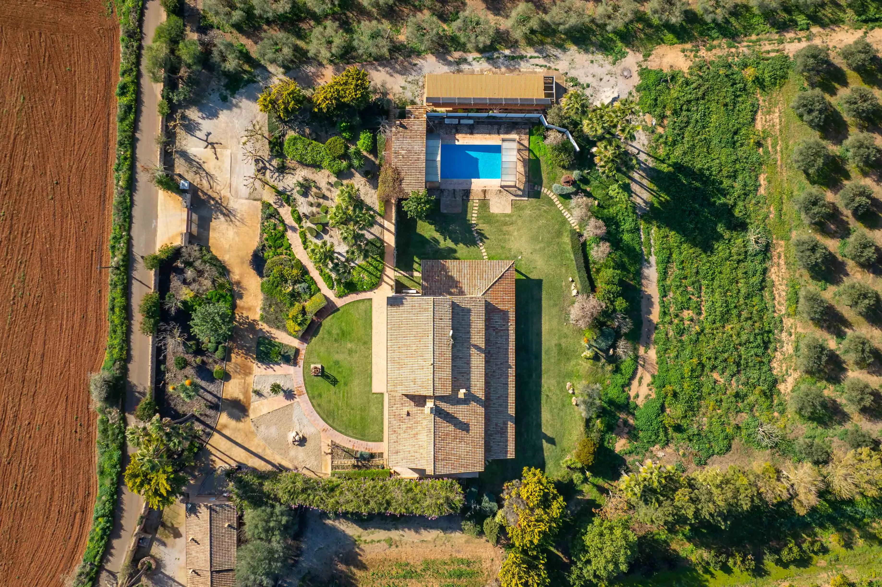 Finca entre Santanyi et Campos avec licence de location et sa propre oliveraie-15