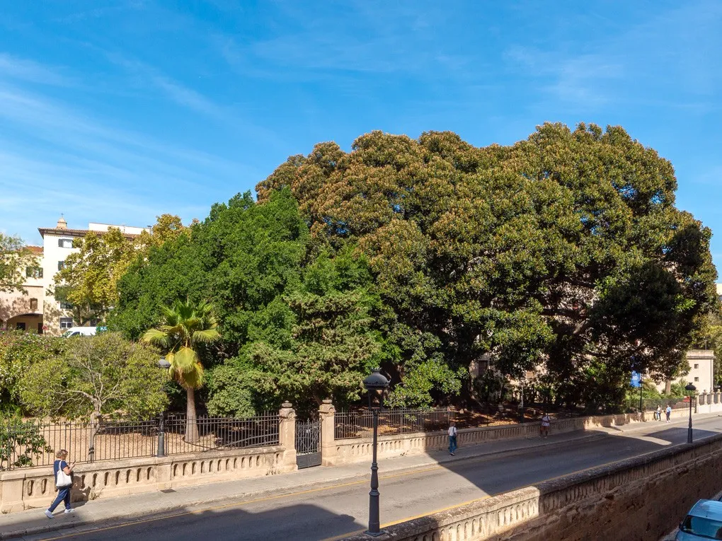 Modern huis met charme nabij Ramblas-9