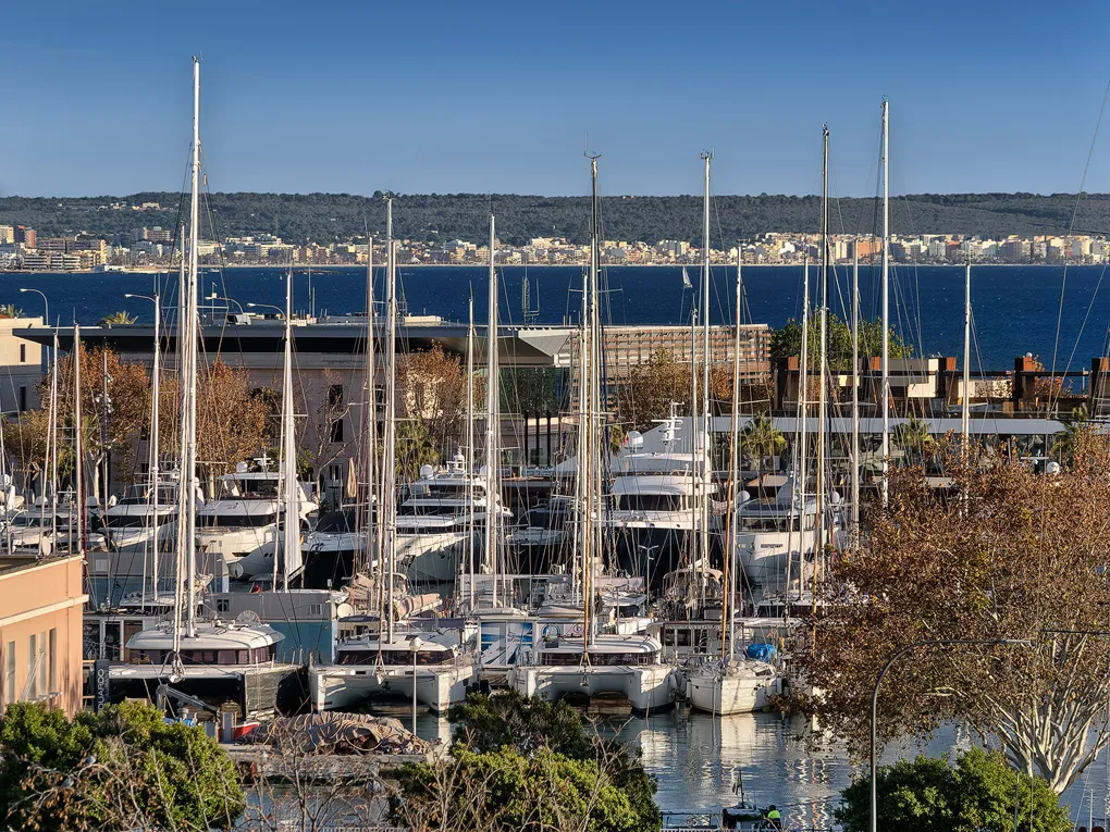 Historisch gebouw met uitzicht op de kathedraal in Santa Catalina-14
