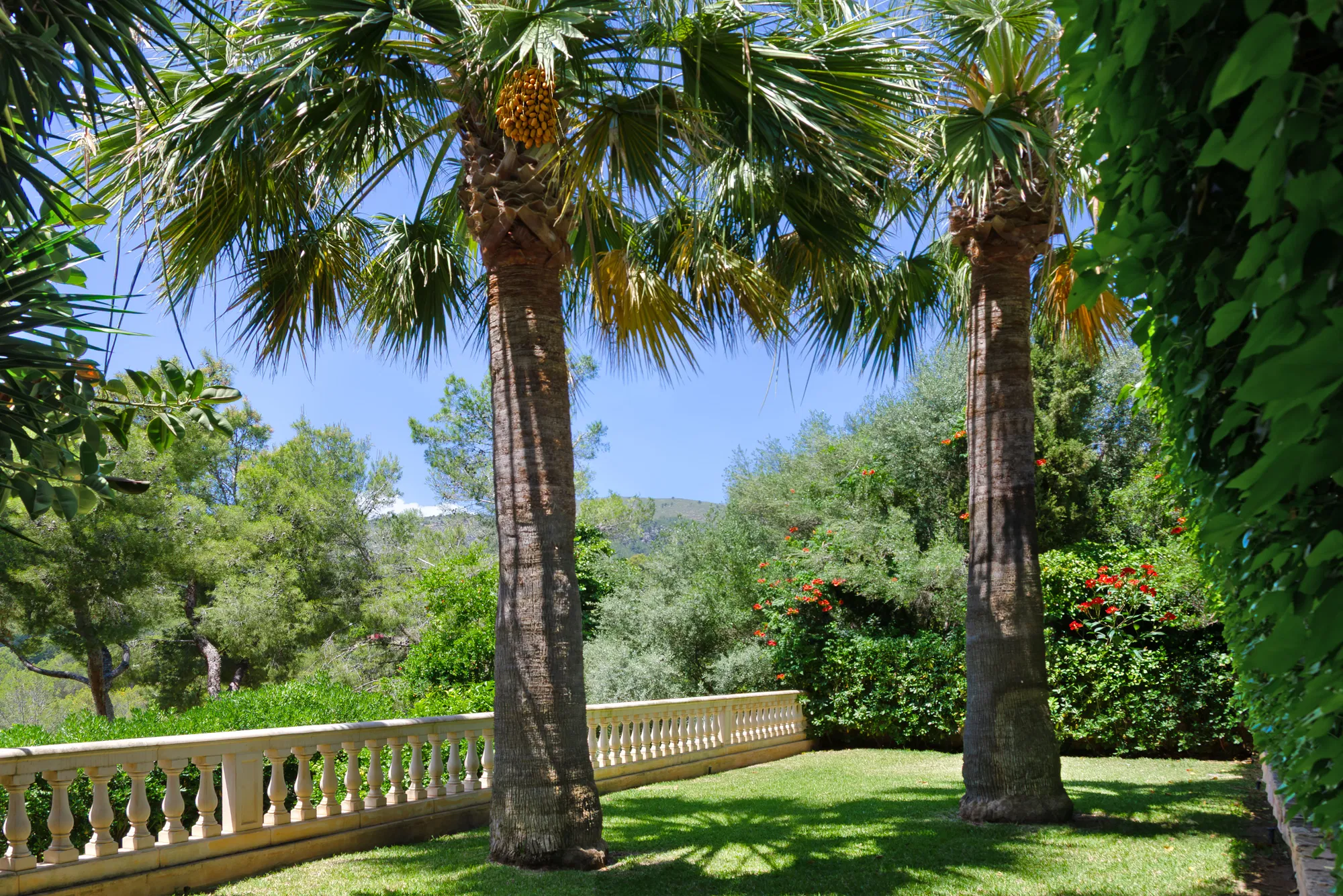 Mediterranean elegance with golf & sea views in exclusive Cas Català-25