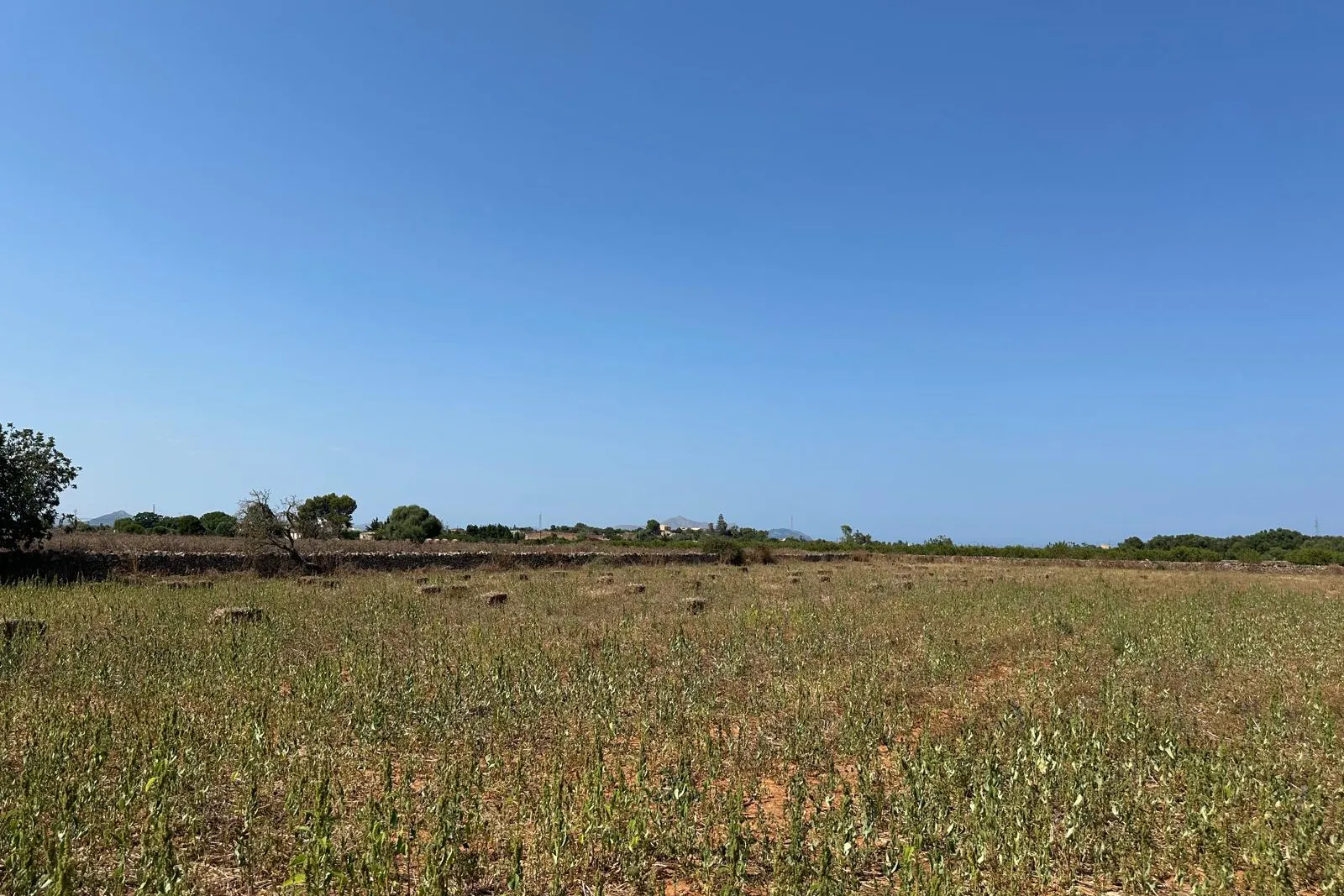 Fantastisch perceel van 14.500 m² met goedgekeurd project en bouwvergunning in Can Picafort-5