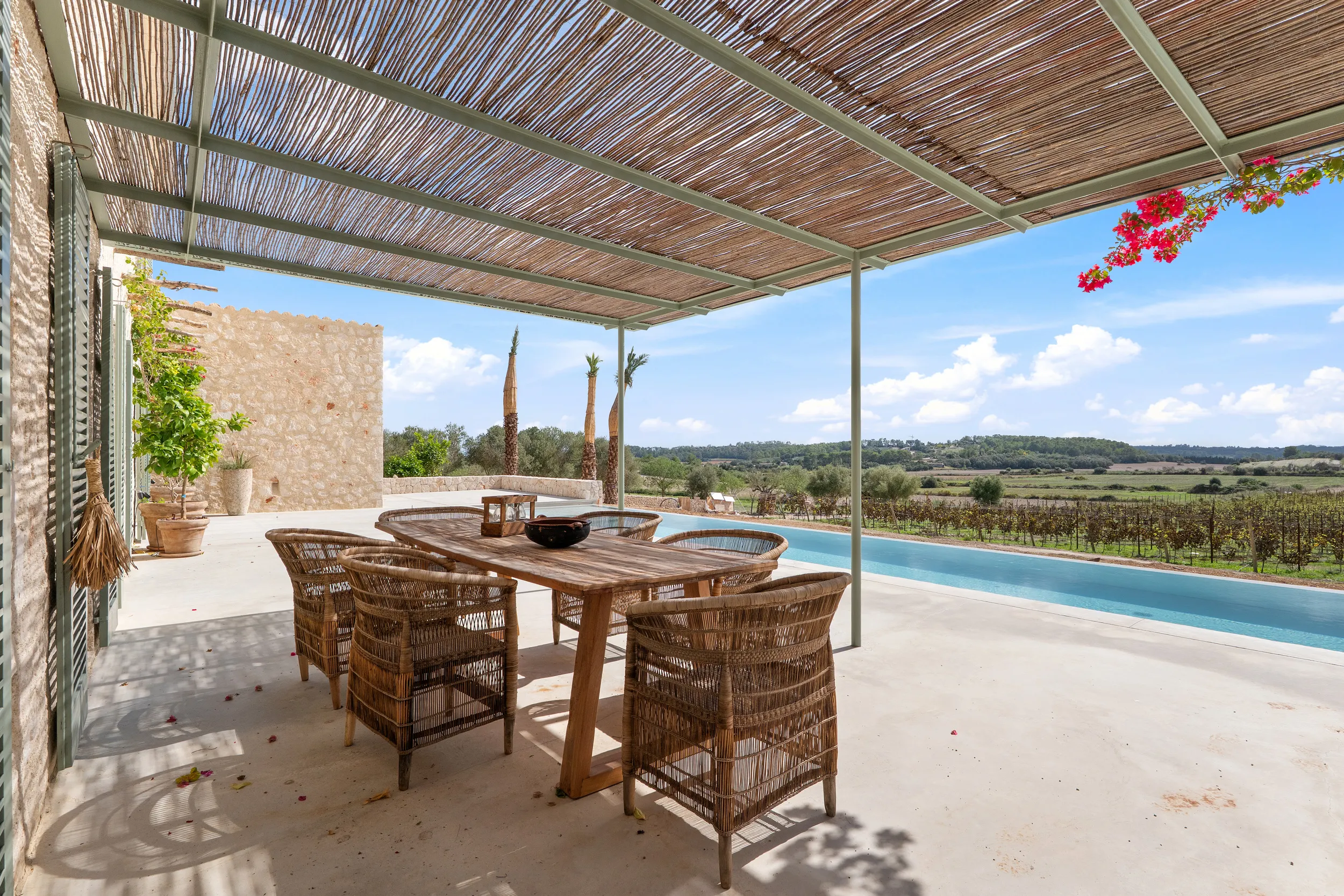 Moderne nybygget landhus med vingård-2