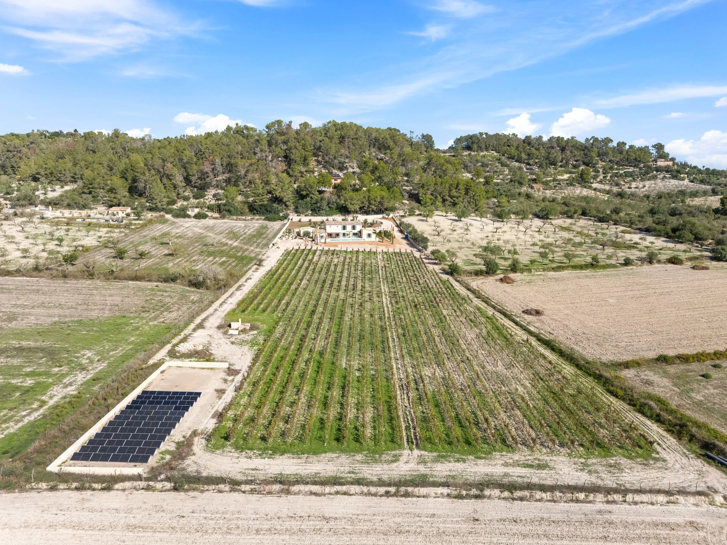 Nowoczesny, nowo wybudowany dom wiejski z winnicą-17