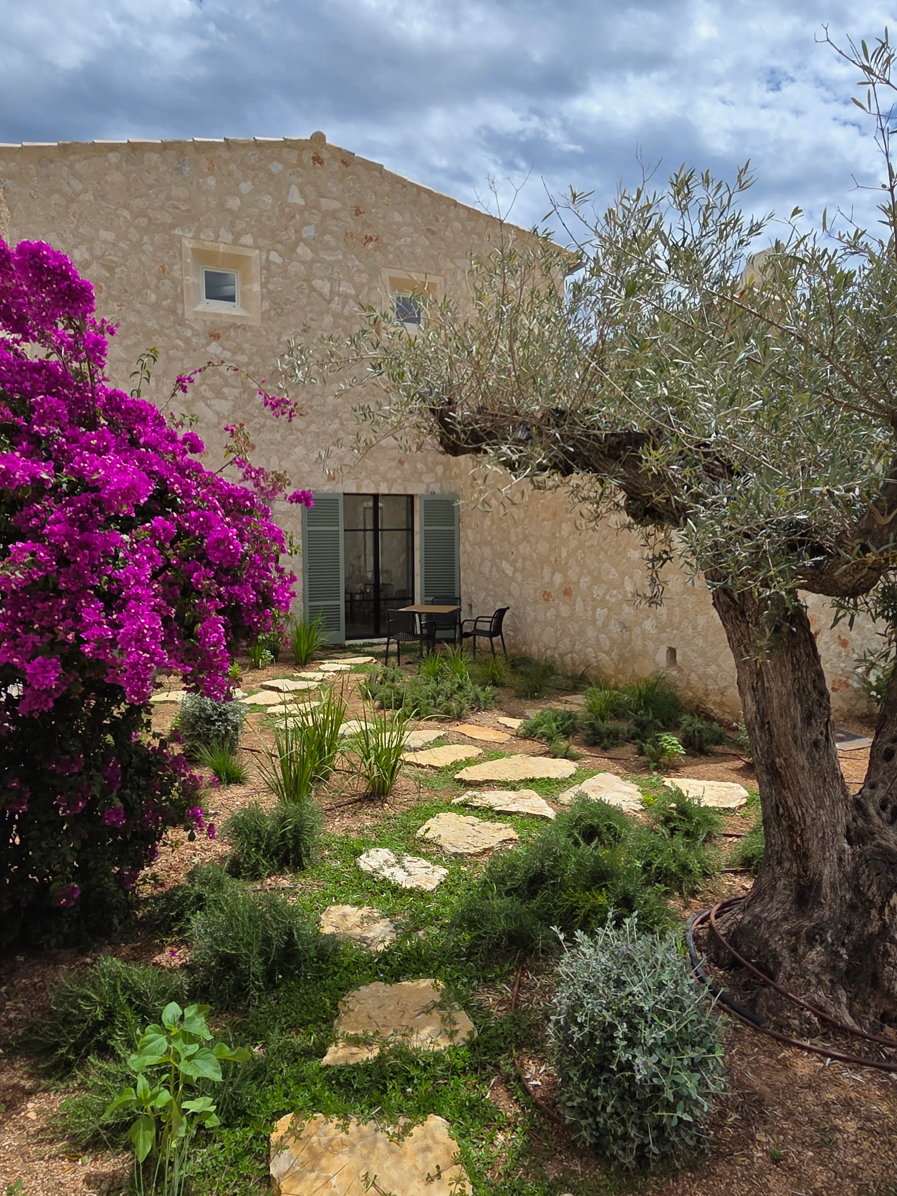 Modern newly built country house with vineyard-25