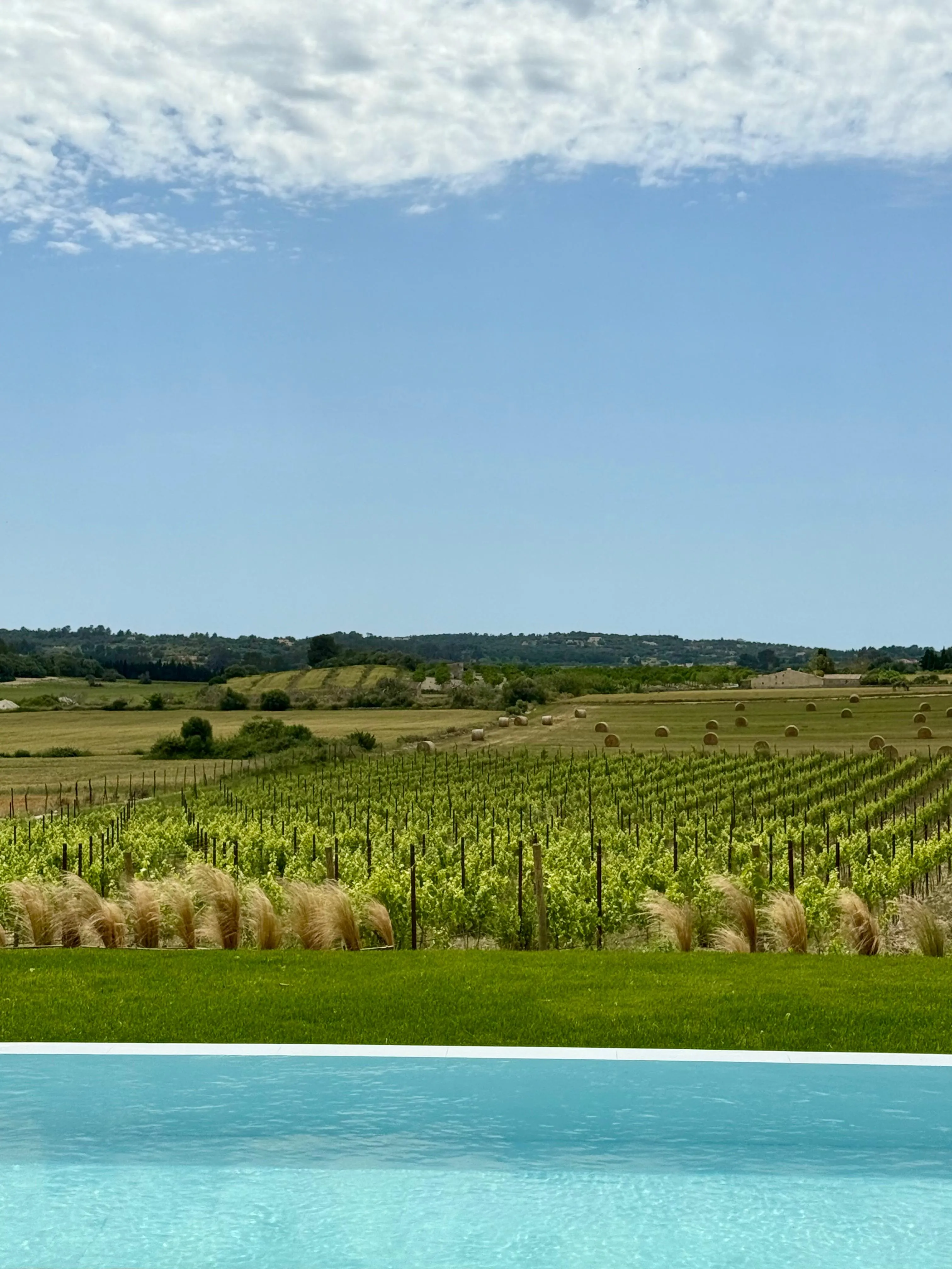Modern newly built country house with vineyard-20