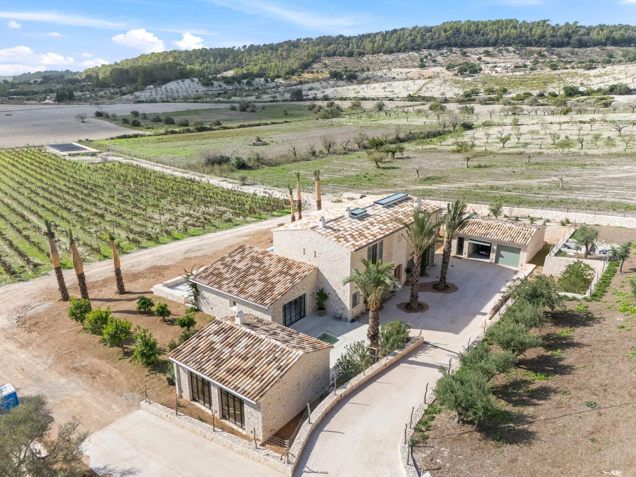 Moderne nybygget landhus med vingård-16