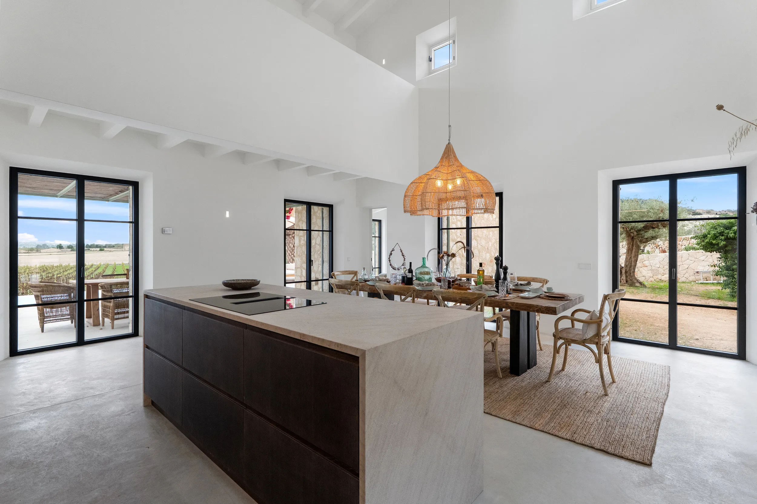 Modern newly built country house with vineyard-7