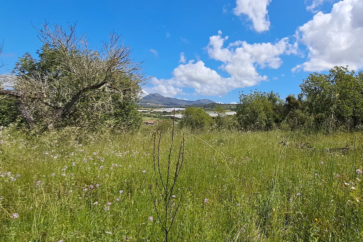 Fantastyczna nieruchomość z panoramicznym widokiem w Manacor-3