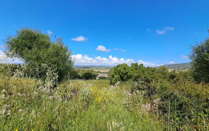 Fantastyczna nieruchomość z panoramicznym widokiem w Manacor