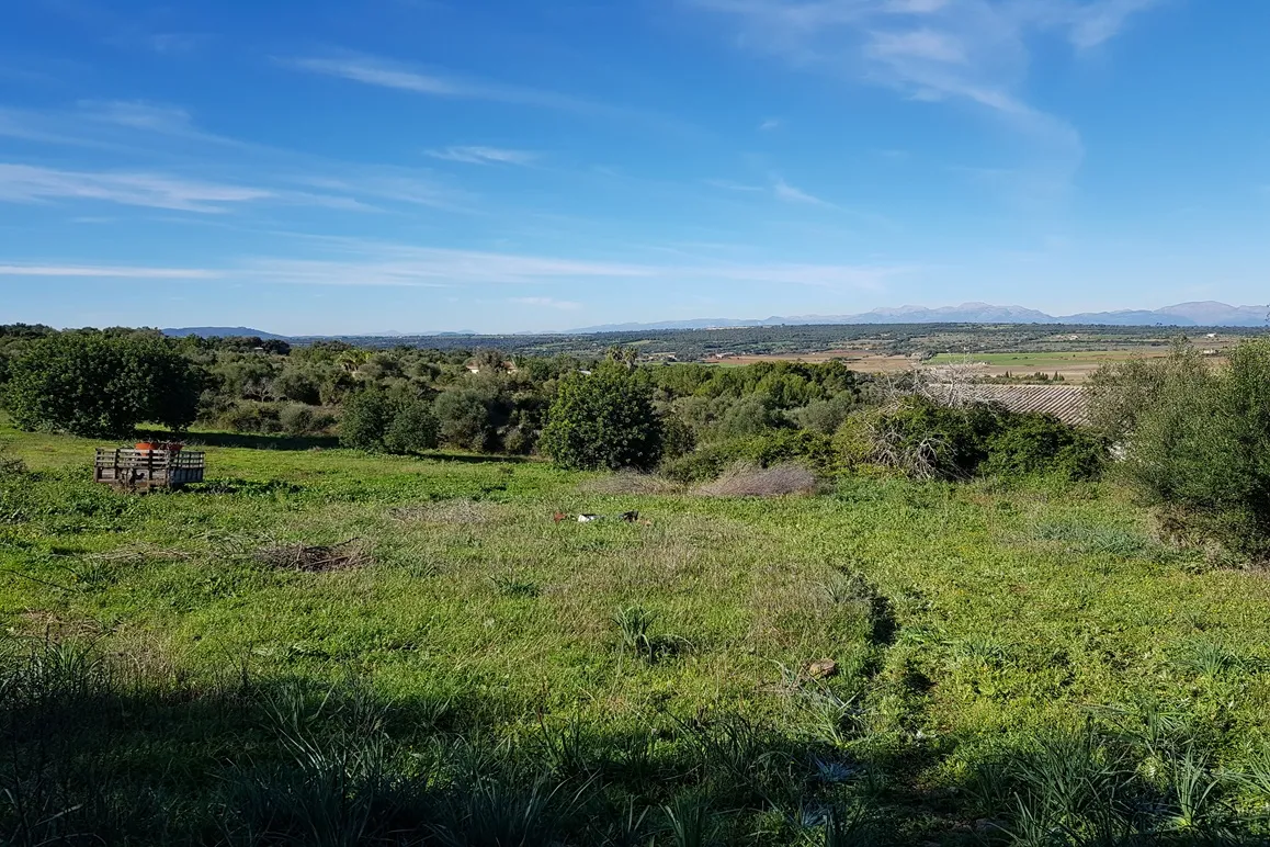 Fantastyczna nieruchomość z panoramicznym widokiem w Manacor-4