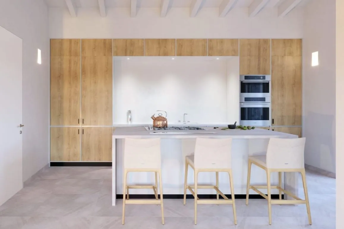 Modern newly built finca-5