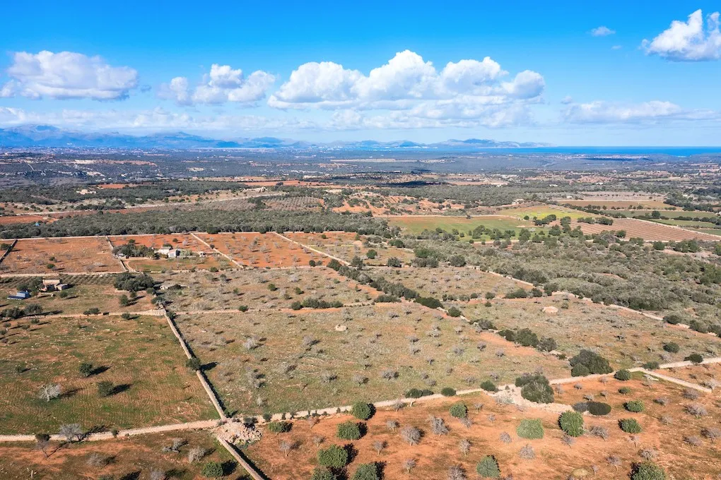 Moderne nieuw gebouwde finca-3